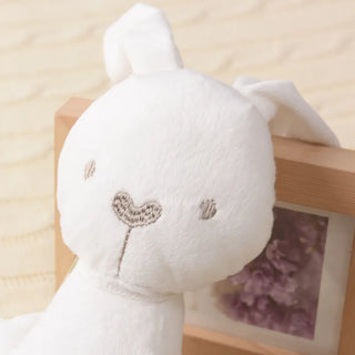 Baby Sleep Soothing Bunny Toy - RYAN AND REMI