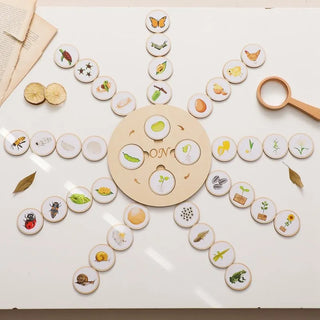 Montessori Life Cycle Educational Puzzle Board - RYAN AND REMI